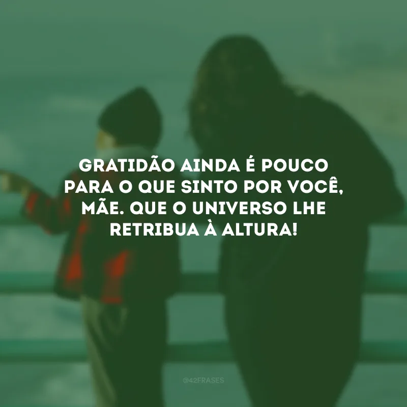 Gratidão ainda é pouco para o que sinto por você, mãe. Que o universo lhe retribua à altura!

