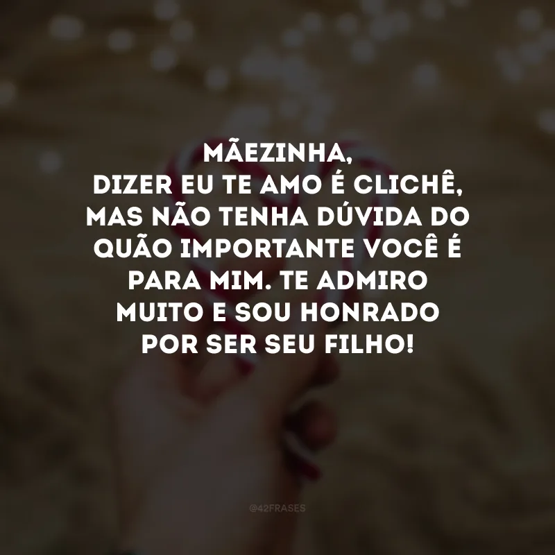 Mãezinha, dizer eu te amo é clichê, mas não tenha dúvida do quão importante você é para mim. Te admiro muito e sou honrado por ser seu filho!