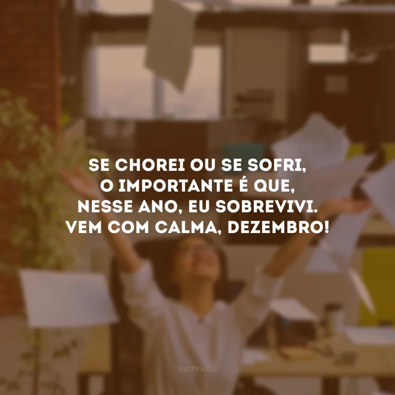 Se chorei ou se sofri, o importante é que, nesse ano, eu sobrevivi. Vem com calma, dezembro! 