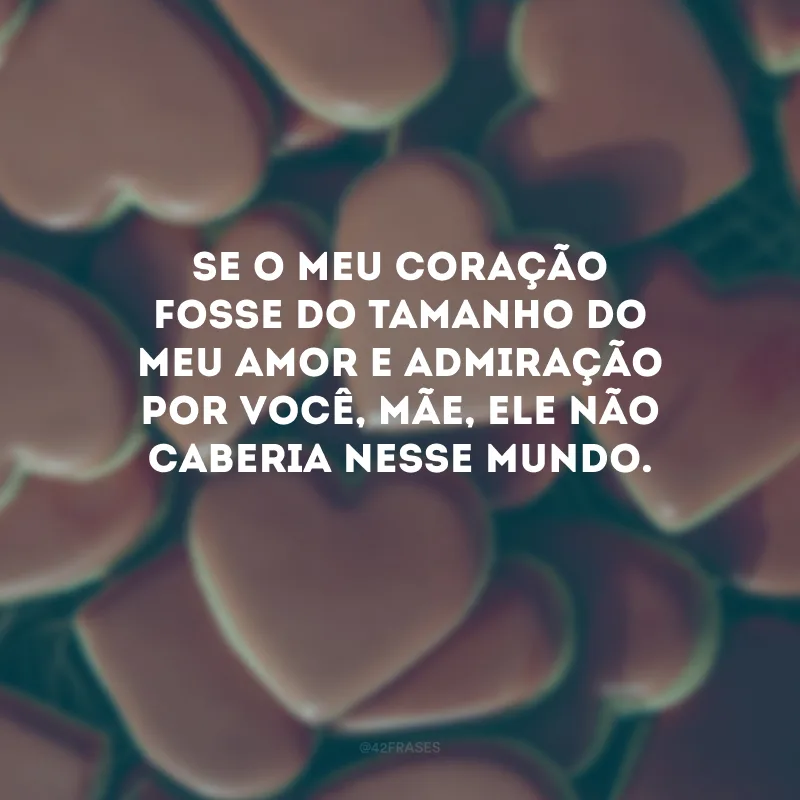 Se o meu coração fosse do tamanho do meu amor e admiração por você, mãe, ele não caberia nesse mundo. 