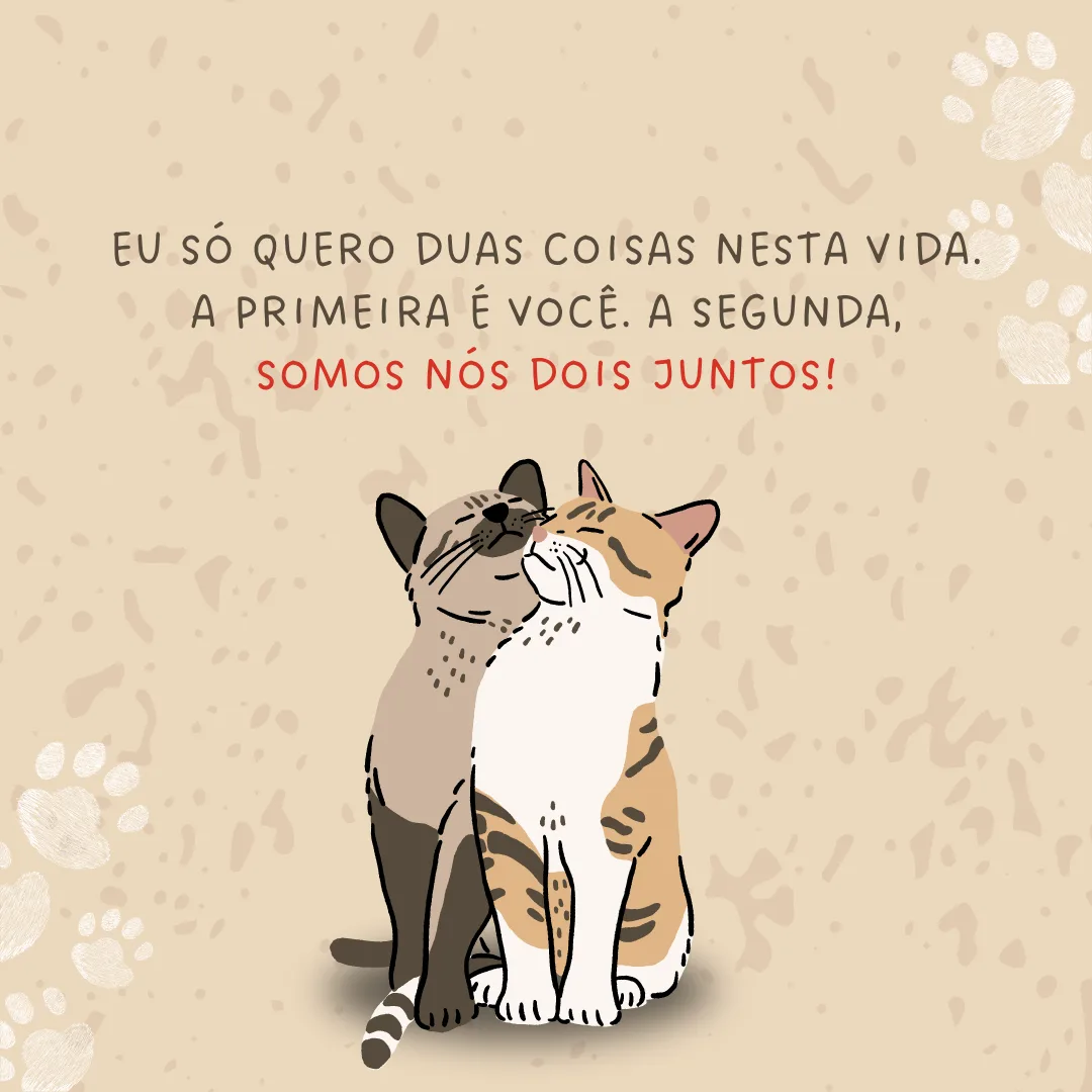Eu só quero duas coisas nesta vida. A primeira é você. A segunda somos nós dois juntos!