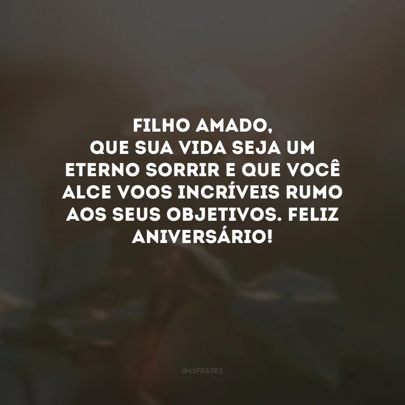 Filho amado, que sua vida seja um eterno sorrir e que você alce voos incríveis rumo aos seus objetivos. Feliz aniversário! 