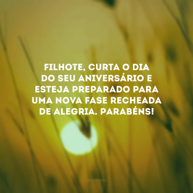 Filhote, curta o dia do seu aniversário e esteja preparado para uma nova fase recheada de alegria. Parabéns! 