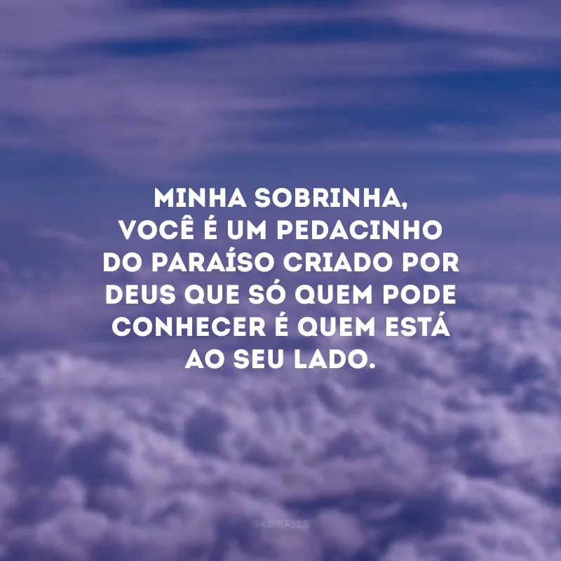Minha sobrinha, você é um pedacinho do paraíso criado por Deus que só quem pode conhecer é quem está ao seu lado.