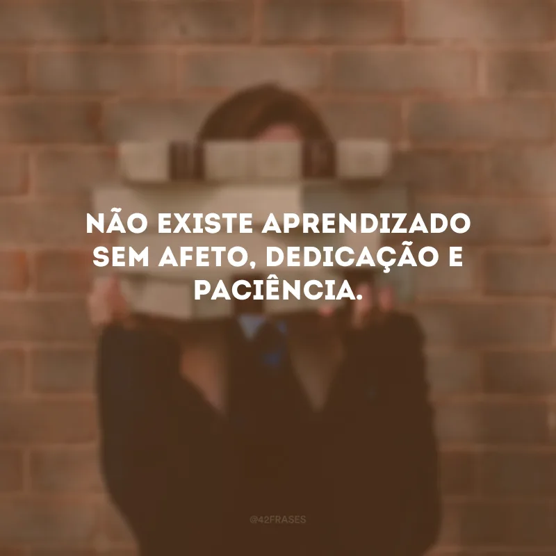 Não existe aprendizado sem afeto, dedicação e paciência. 