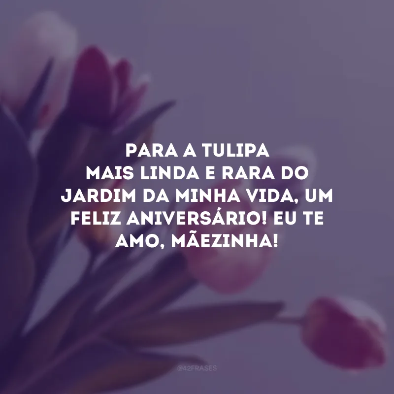 Para a tulipa mais linda e rara do jardim da minha vida, um feliz aniversário! Eu te amo, mãezinha! 