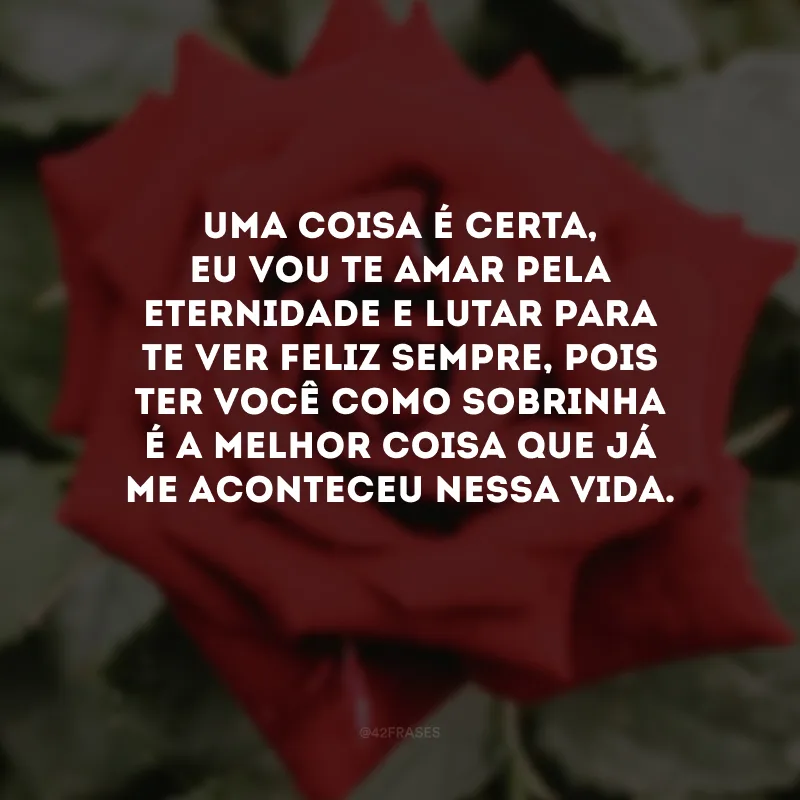 Uma coisa é certa, eu vou te amar pela eternidade e lutar para te ver feliz sempre, pois ter você como sobrinha é a melhor coisa que já me aconteceu nessa vida. 