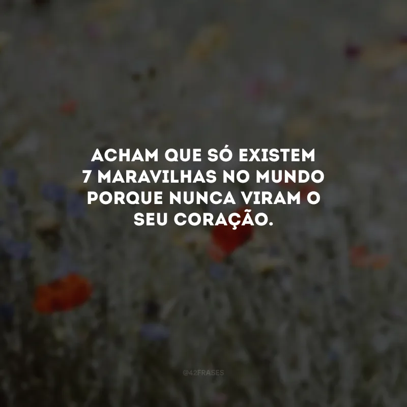 Acham que só existem 7 maravilhas no mundo porque nunca viram o seu coração. 