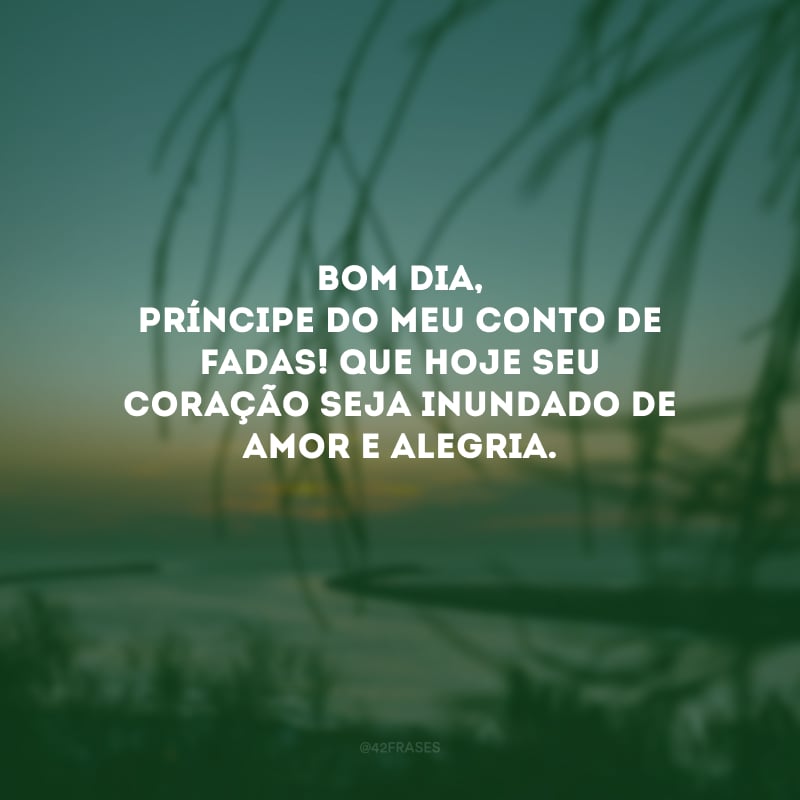Bom dia, príncipe do meu conto de fadas! Que hoje seu coração seja inundado de amor e alegria. 