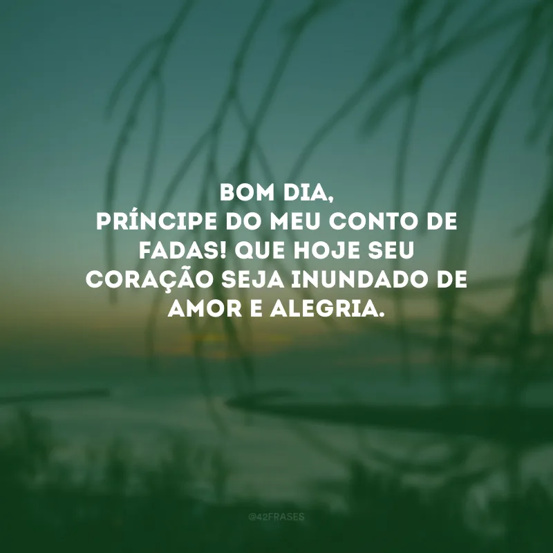 Bom dia, príncipe do meu conto de fadas! Que hoje seu coração seja inundado de amor e alegria. 