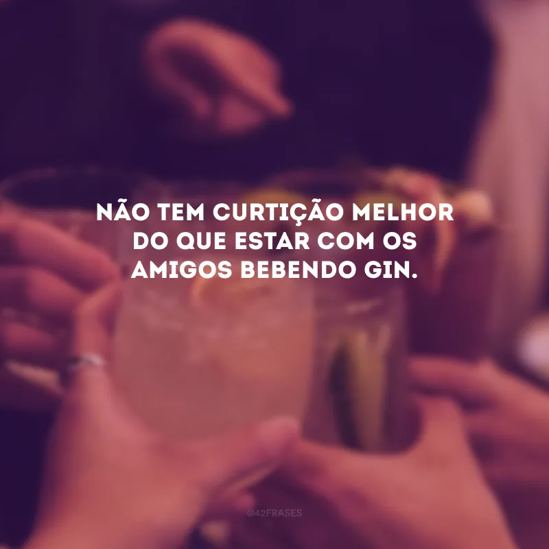 Não tem curtição melhor do que estar com os amigos bebendo gin. 