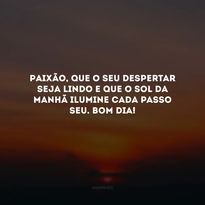 Paixão, que o seu despertar seja lindo e que o sol da manhã ilumine cada passo seu. Bom dia! 