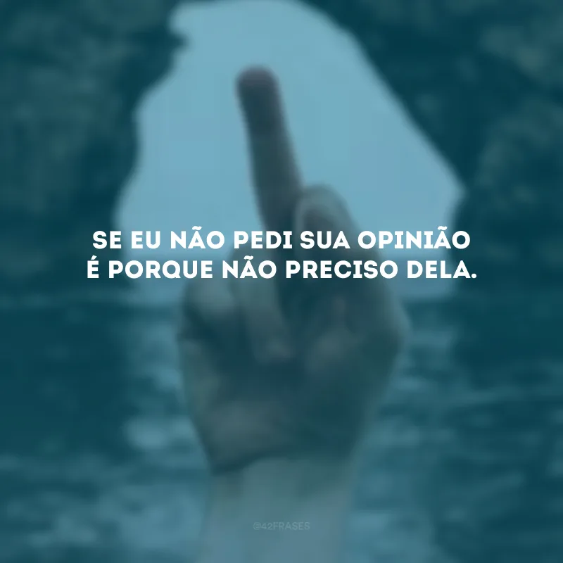 Se eu não pedi sua opinião é porque não preciso dela. 