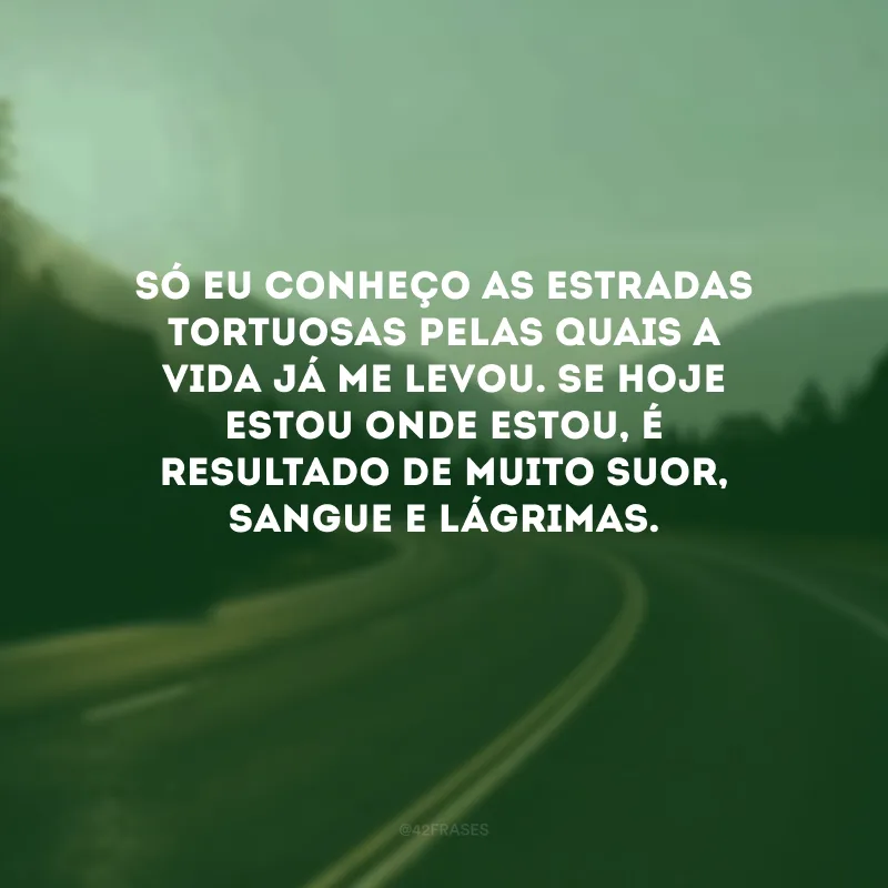 Só eu conheço as estradas tortuosas pelas quais a vida já me levou. Se hoje estou onde estou, é resultado de muito suor, sangue e lágrimas. 