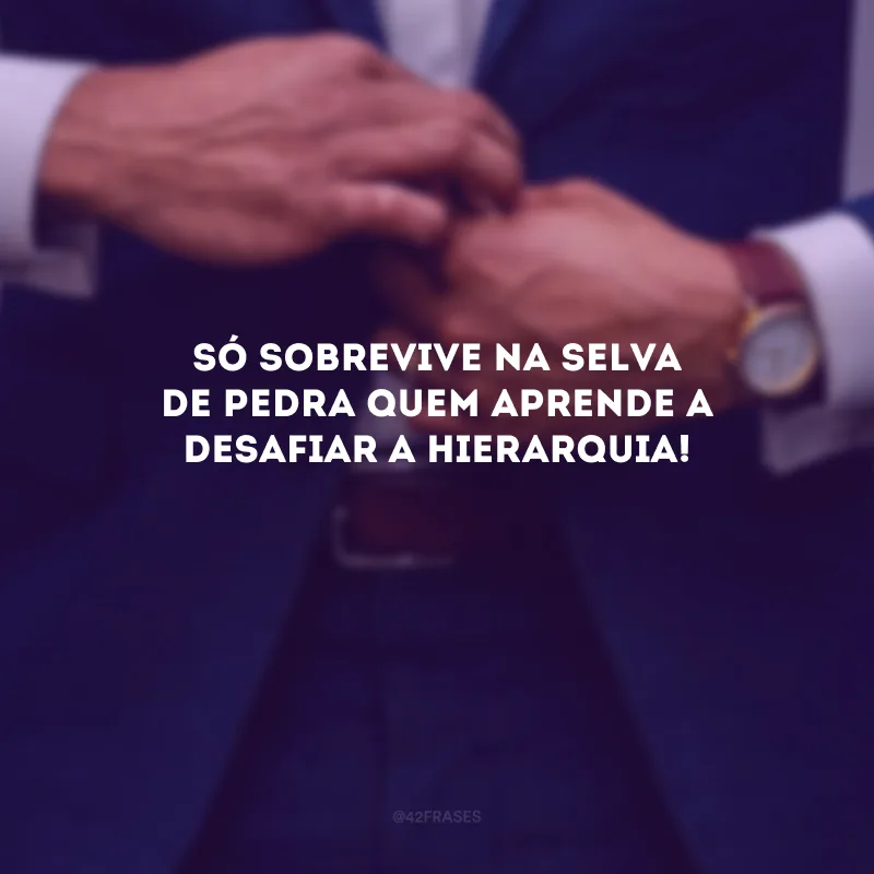Só sobrevive na selva de pedra quem aprende a desafiar a hierarquia! 