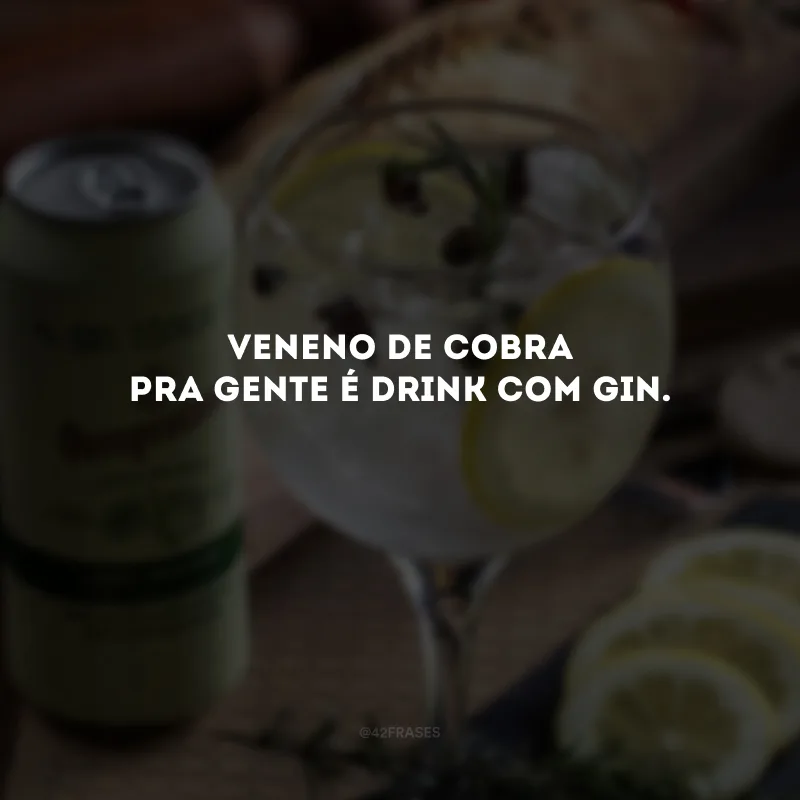 Veneno de cobra pra gente é drink com gin.