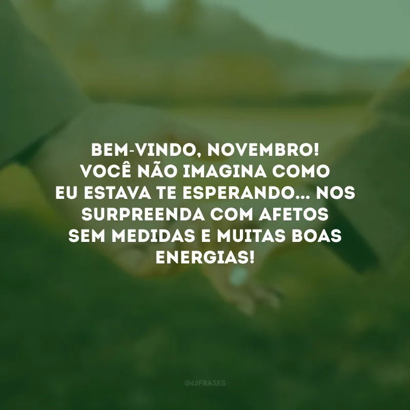 Bem-vindo, novembro! Você não imagina como eu estava te esperando... Nos surpreenda com afetos sem medidas e muitas boas energias!