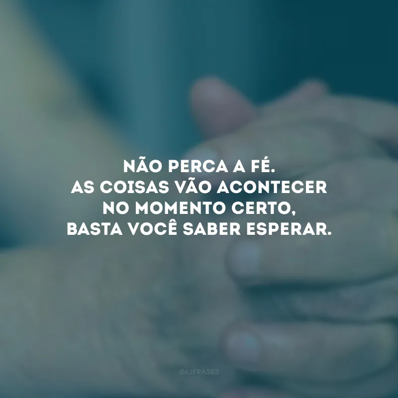 Não perca a fé. As coisas vão acontecer no momento certo, basta você saber esperar.