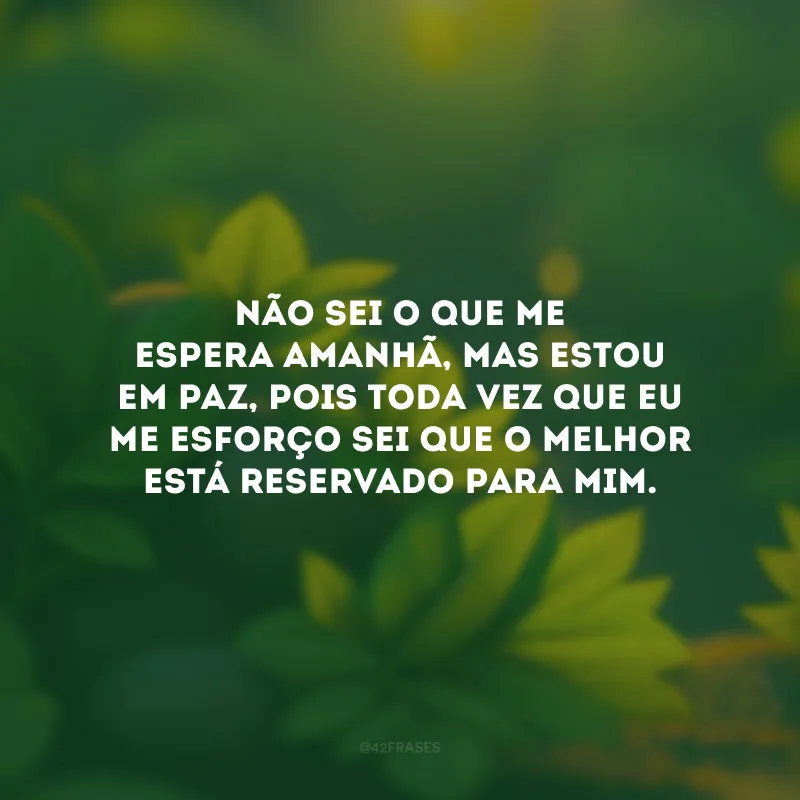 Não sei o que me espera amanhã, mas estou em paz, pois toda vez que eu me esforço sei que o melhor está reservado para mim.