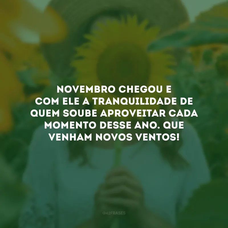 Novembro chegou e com ele a tranquilidade de quem soube aproveitar cada momento desse ano. Que venham novos ventos!