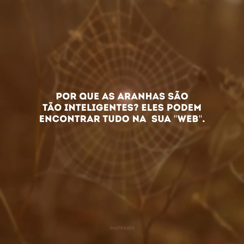 Por que as aranhas são tão inteligentes?Eles podem encontrar tudo na  sua \"web\".