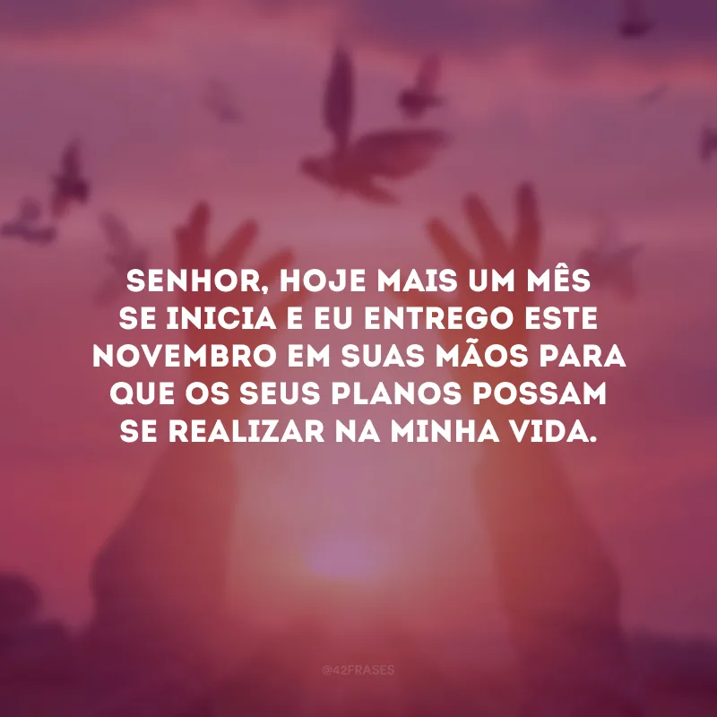 Senhor, hoje mais um mês se inicia e eu entrego este novembro em Suas mãos para que os seus planos possam se realizar na minha vida.