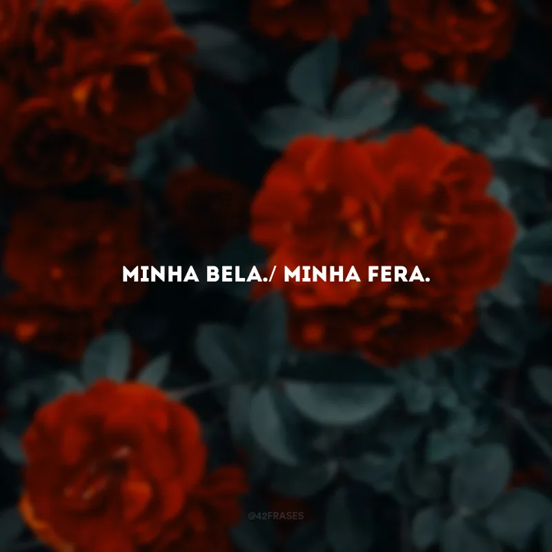 Minha Bela./ Minha Fera.
