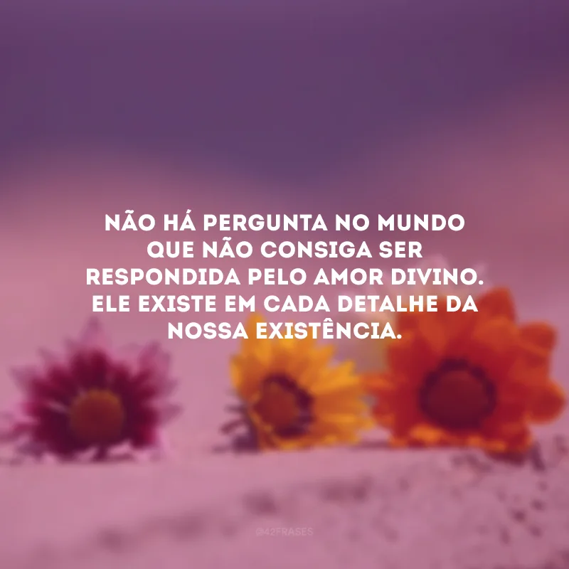 Não há pergunta no mundo que não consiga ser respondida pelo amor divino. Ele existe em cada detalhe da nossa existência.