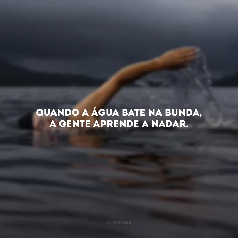Quando a água bate na bunda, a gente aprende a nadar.
