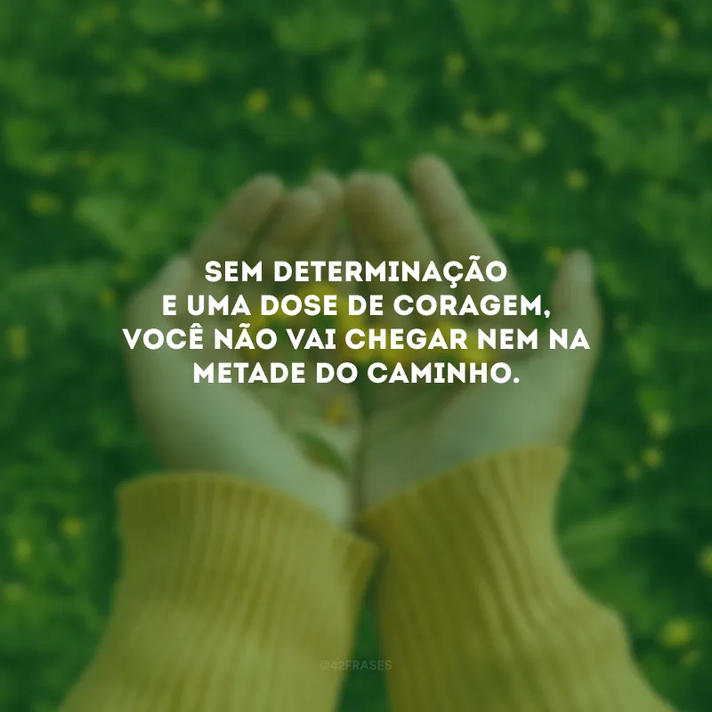 Sem determinação e uma dose de coragem, você não vai chegar nem na metade do caminho. 