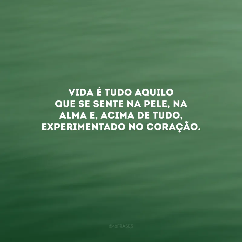 Vida é tudo aquilo que se sente na pele, na alma e, acima de tudo, experimentado no coração. 