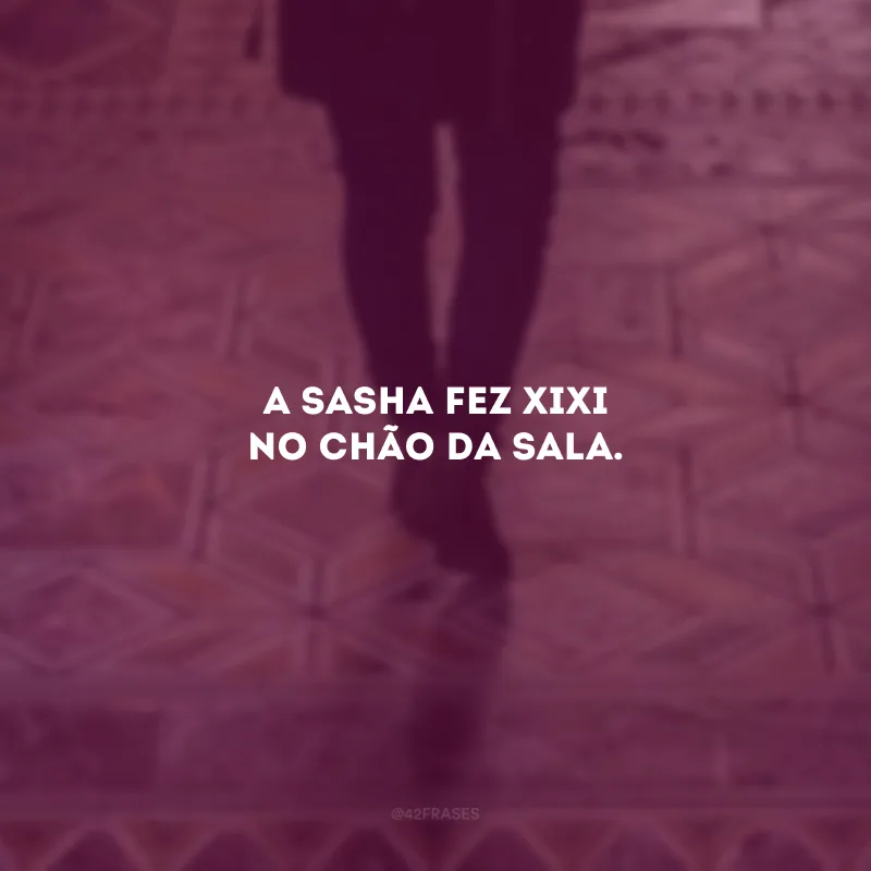 A Sasha fez xixi no chão da sala.