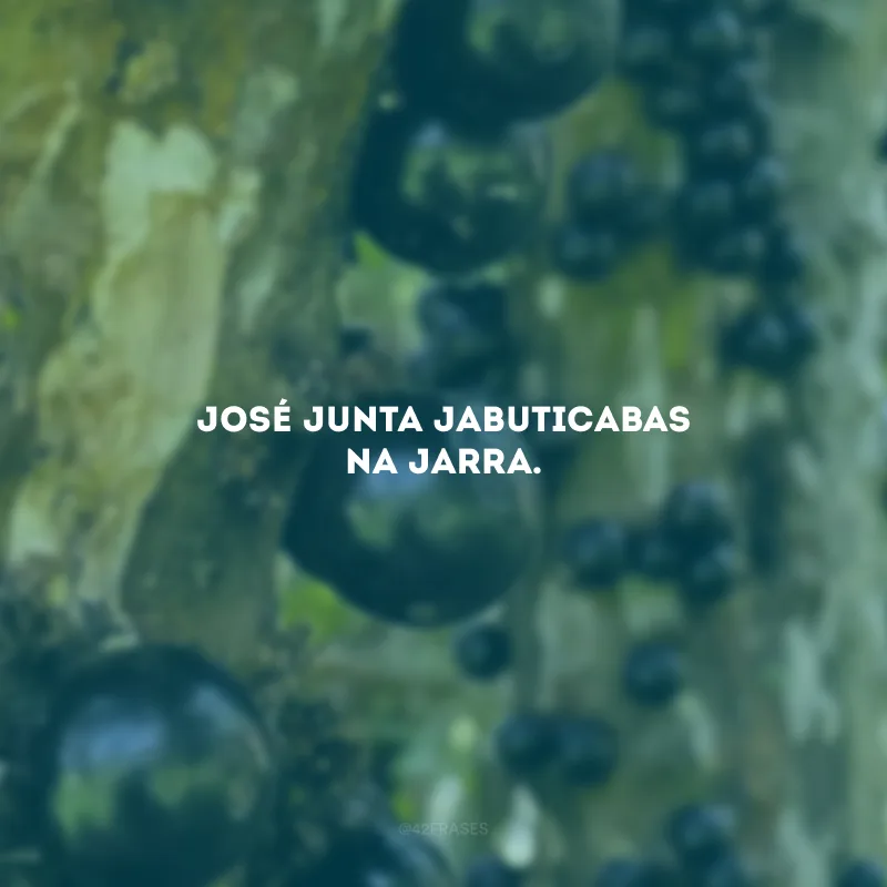 José junta jabuticabas na jarra.