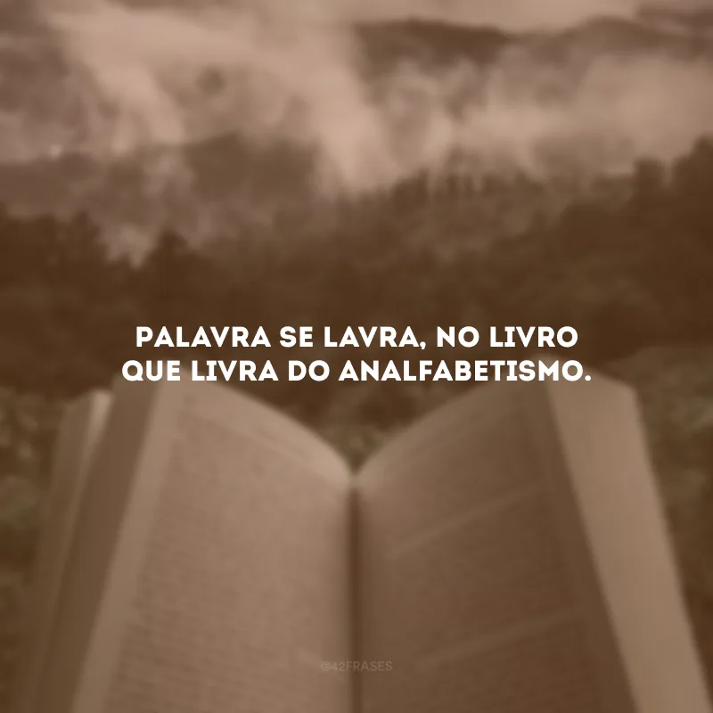 Palavra se lavra, no livro que livra do analfabetismo.