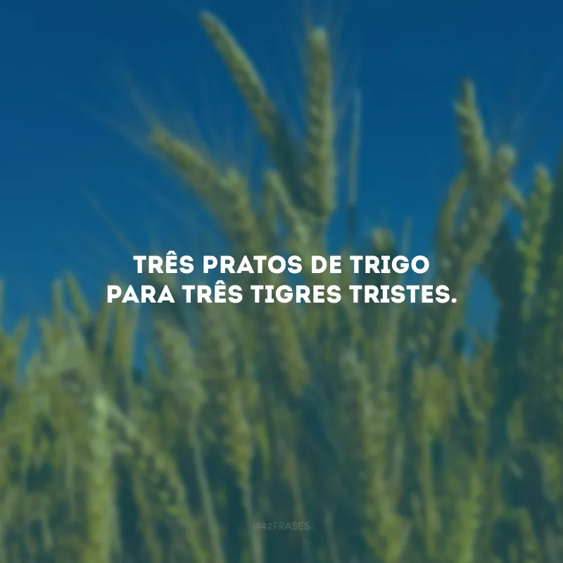 Três pratos de trigo para três tigres tristes.