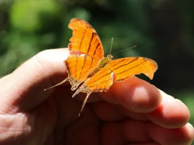 55 frases de Deus é bom o tempo todo celebrando o amor divino