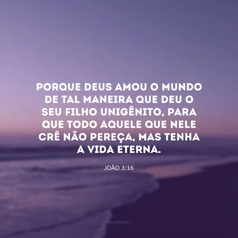 Porque Deus amou o mundo de tal maneira que deu o Seu Filho unigênito, para que todo aquele que nele crê não pereça, mas tenha a vida eterna. 