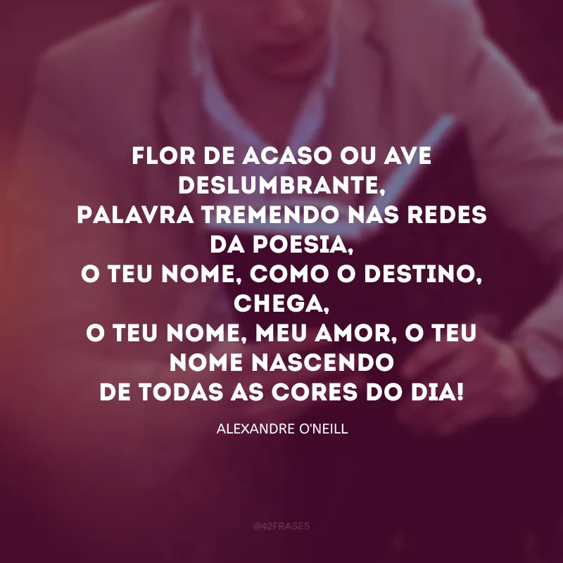 Flor de acaso ou ave deslumbrante,Palavra tremendo nas redes da poesia,O teu nome, como o destino, chega,O teu nome, meu amor, o teu nome nascendoDe todas as cores do dia! 