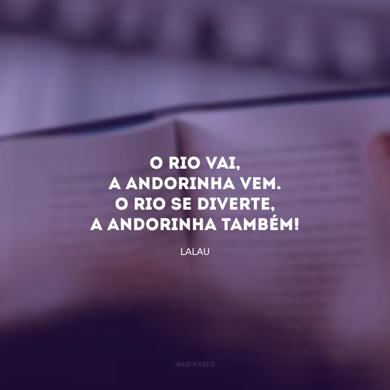 O rio vai,a andorinha vem.O rio se diverte, a andorinha também! 