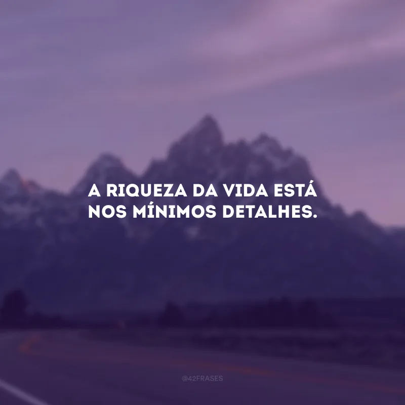 A riqueza da vida está nos mínimos detalhes.