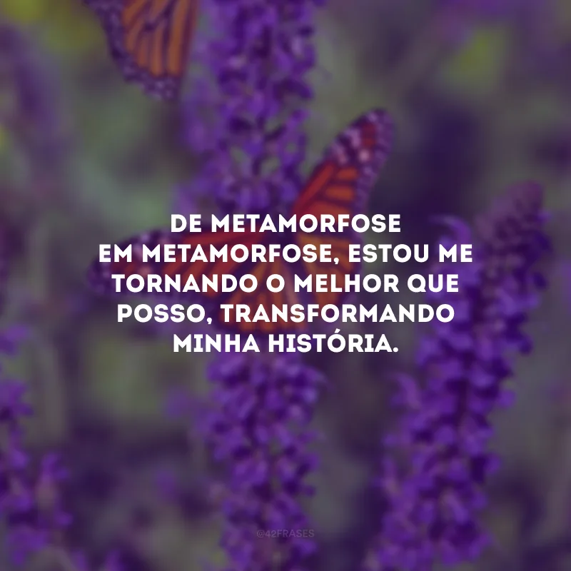 De metamorfose em metamorfose, estou me tornando o melhor que posso, transformando minha história. 