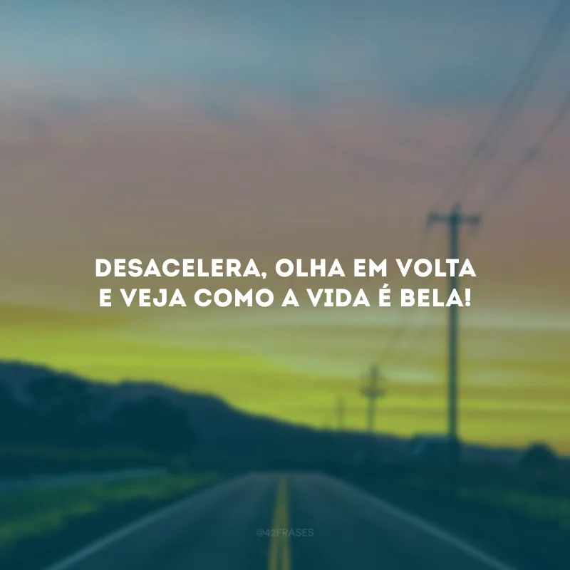 Desacelera, olha em volta e veja como a vida é bela!