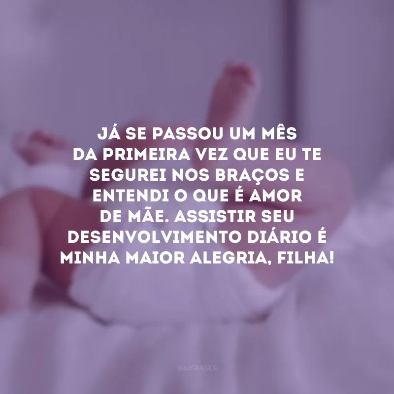 Já se passou um mês da primeira vez que eu te segurei nos braços e entendi o que é amor de mãe. Assistir seu desenvolvimento diário é minha maior alegria, filha!