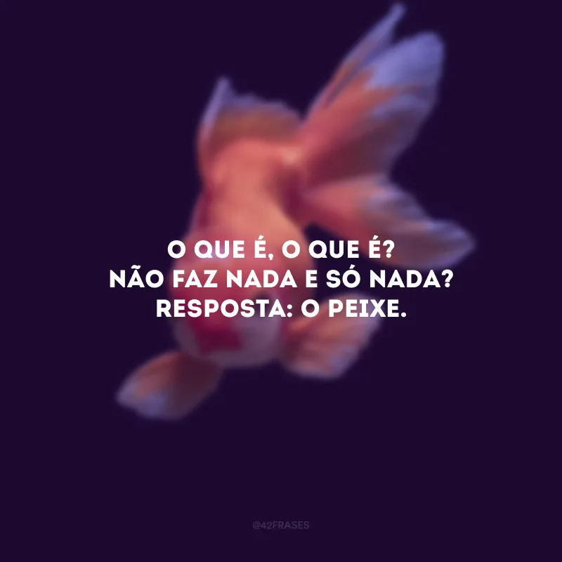 O que é, o que é? Não faz nada e só nada? Resposta: O peixe. 