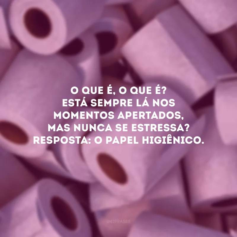O que é, o que é? Está sempre lá nos momentos apertados, mas nunca se estressa? Resposta: O papel higiênico.