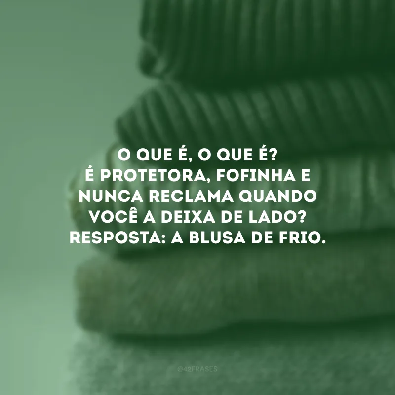 O que é, o que é? É protetora, fofinha e nunca reclama quando você a deixa de lado? Resposta: A blusa de frio.