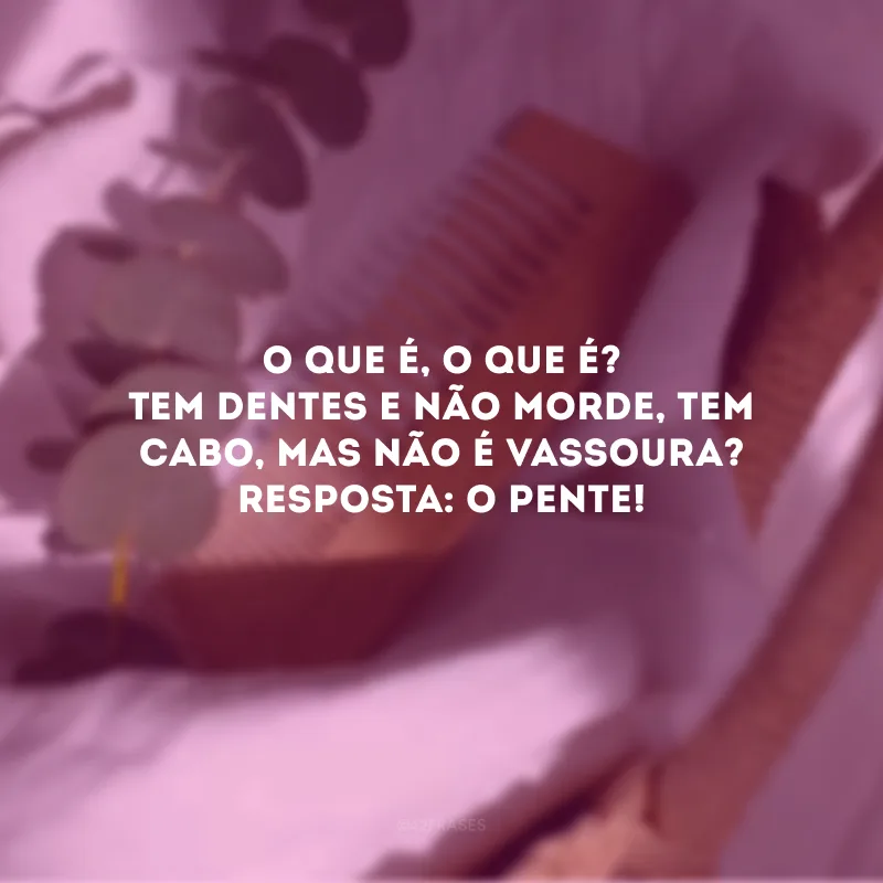 O que é, o que é? Tem dentes e não morde, tem cabo, mas não é vassoura? Resposta: O pente!