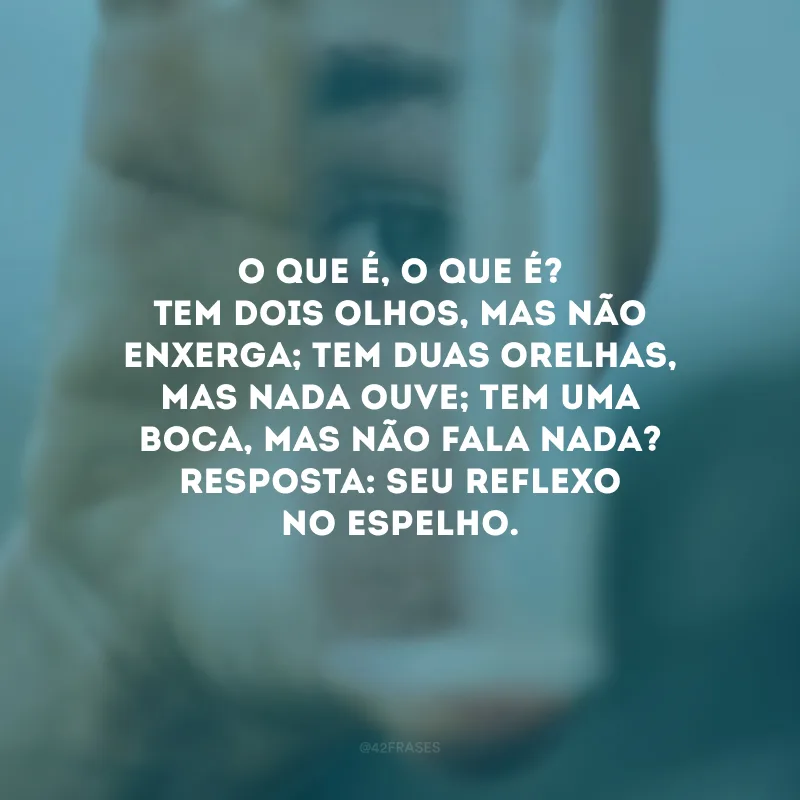 O que é, o que é? Tem dois olhos, mas não enxerga; tem duas orelhas, mas nada ouve; tem uma boca, mas não fala nada? Resposta: Seu reflexo no espelho. 