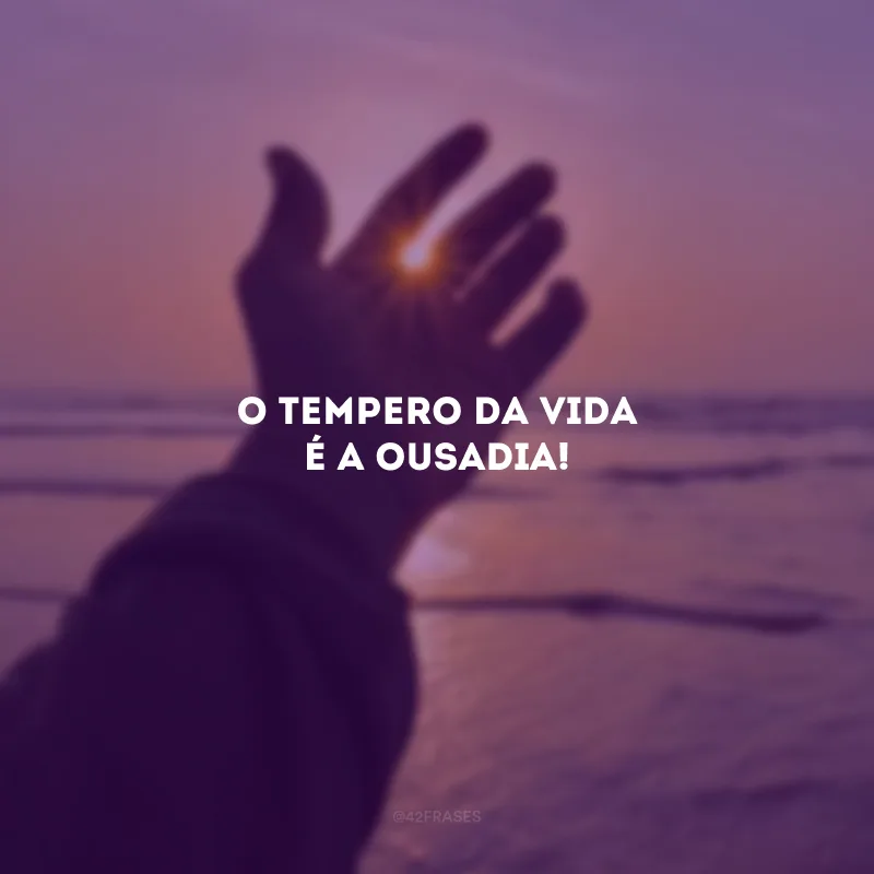 O tempero da vida é a ousadia!