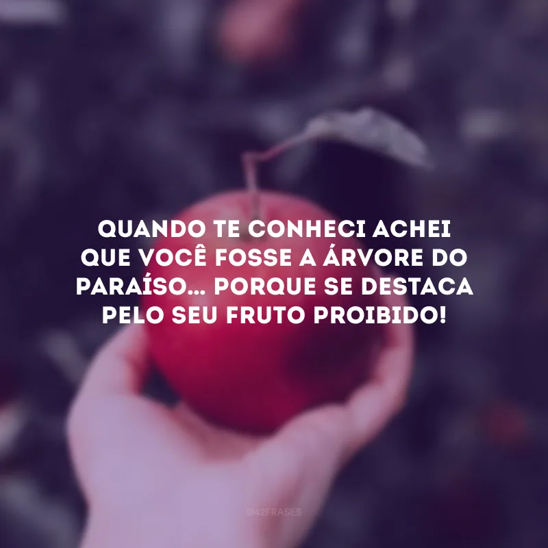 Quando te conheci achei que você fosse a árvore do paraíso… Porque se destaca pelo seu fruto proibido! 